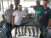 (08/11/2015) - Nice Striped Bass